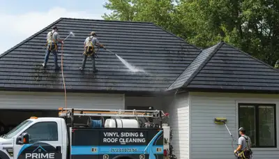 Professional roof cleaning and vinyl siding service in Memphis, TN by Next Level Exteriors